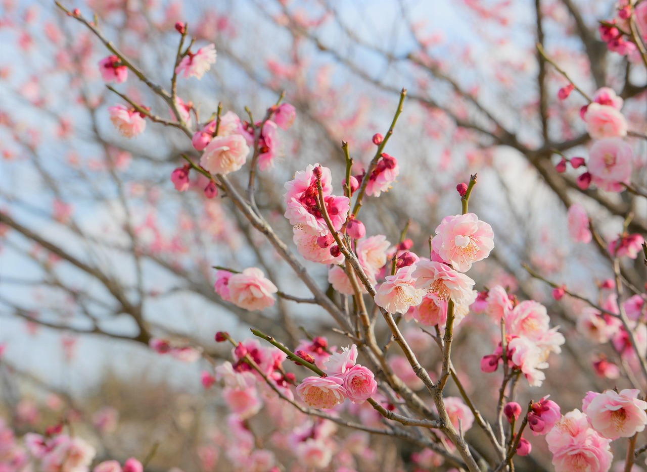 AGAの自宅治療には効果がある？