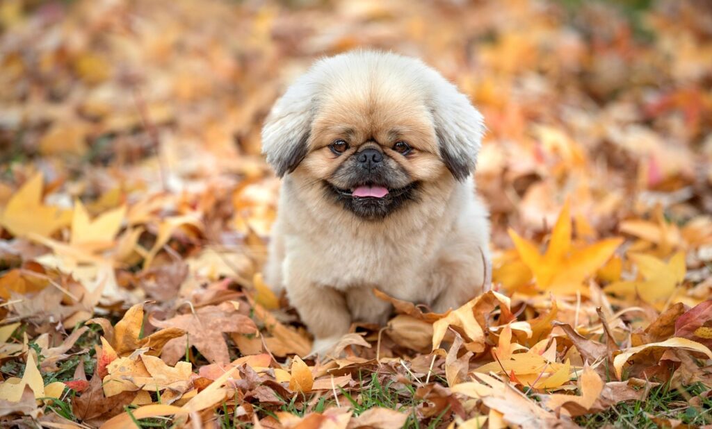 AGAクリニックの費用を比較表でわかりやすく解説するには？