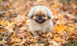 AGAクリニックの費用を比較表でわかりやすく解説するには？