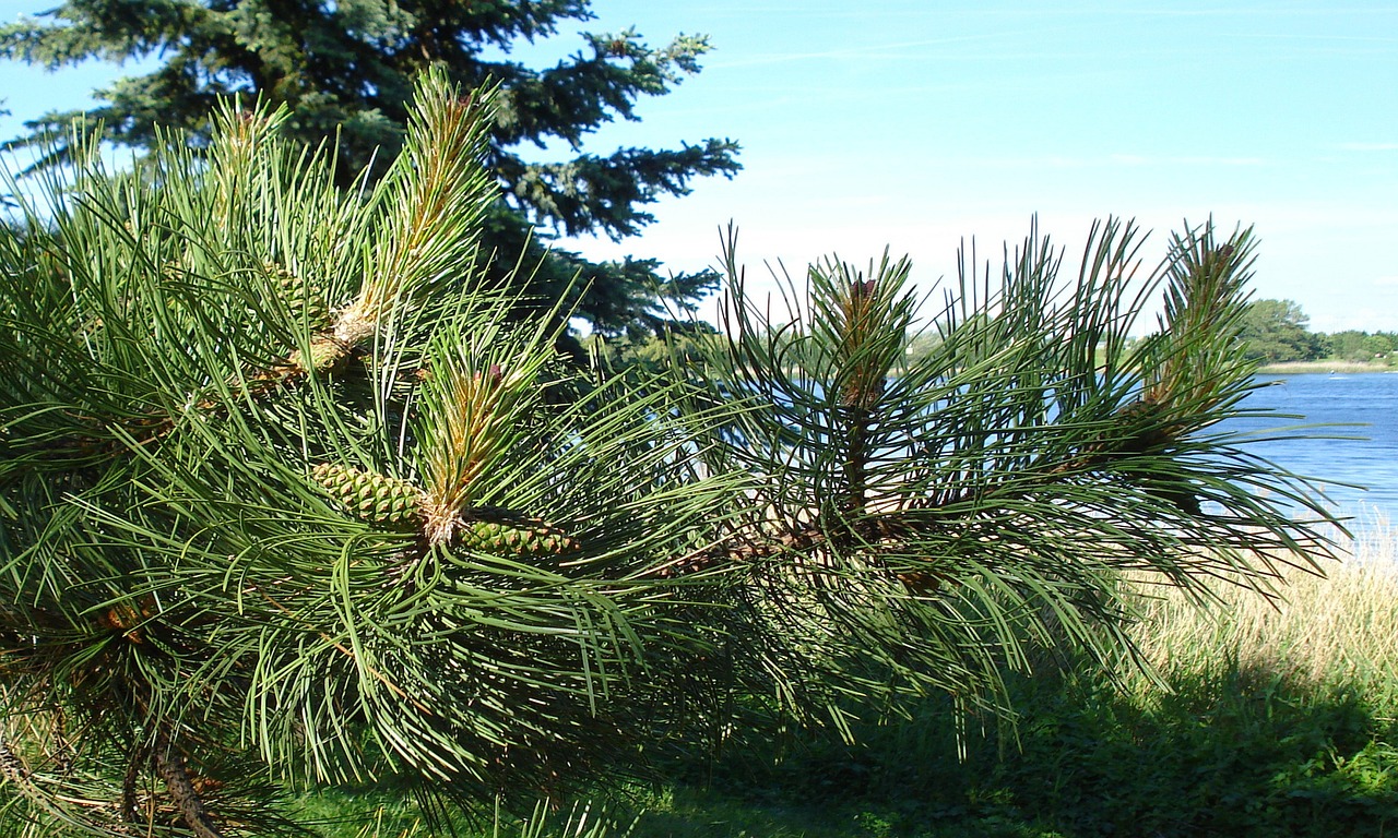 AGA発症の若年層における年代別の特徴は？