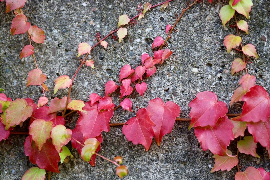 薄毛のセルフチェックで髪質を見極める方法は？