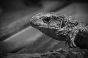 薄毛をヘアスタイルでカバーする方法は？