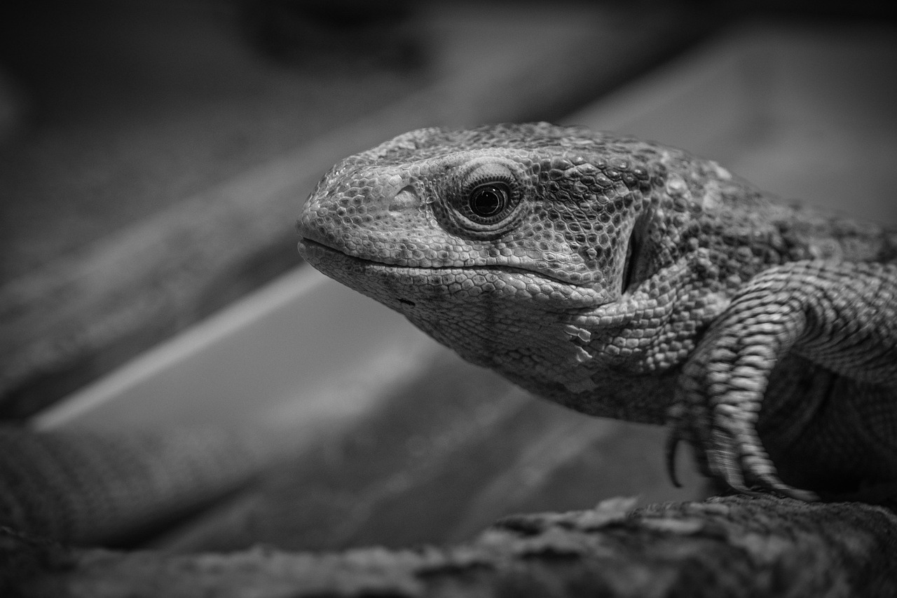 薄毛をヘアスタイルでカバーする方法は？