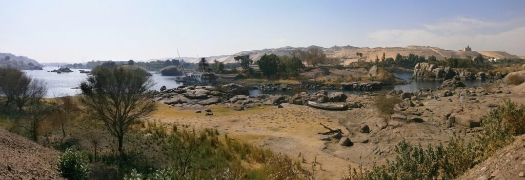 AGA治療薬の比較はどれが最適？
