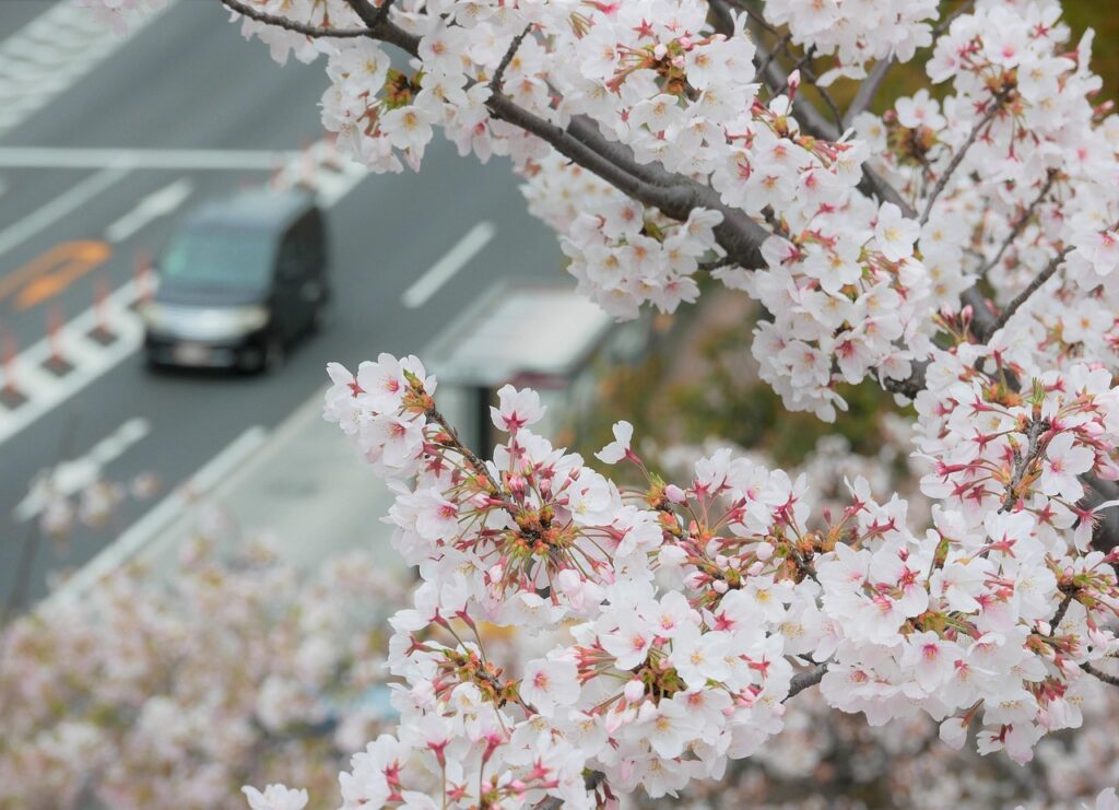 家族にバレないAGAの比較はどうするべき？
