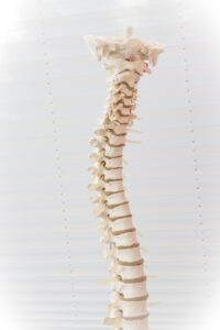 薄毛クリニックの比較で本当におすすめはどれ？